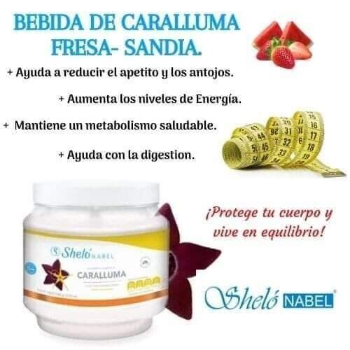 SHELO NABEL CARALLUMA FAT REDUCER