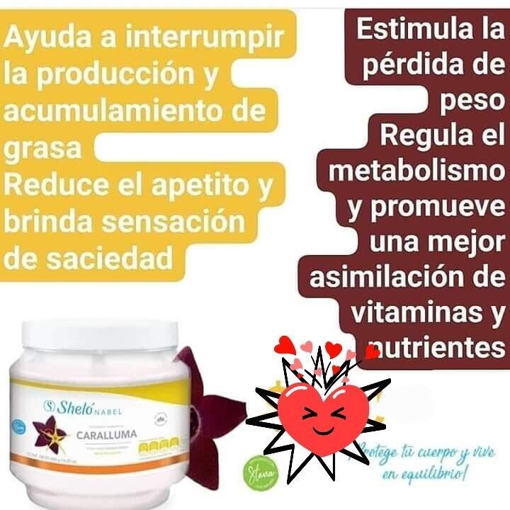 SHELO NABEL CARALLUMA FAT REDUCER